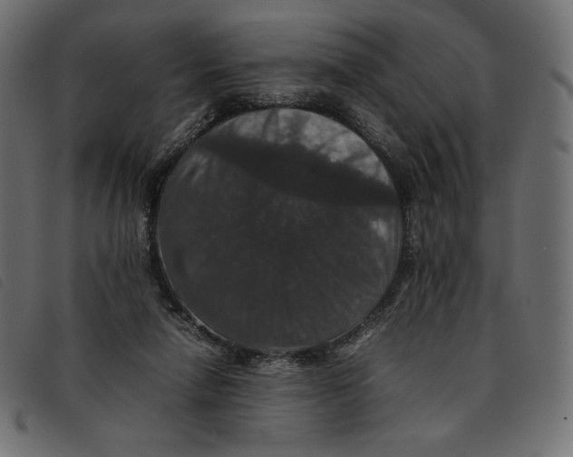 X0000092250258200710121305