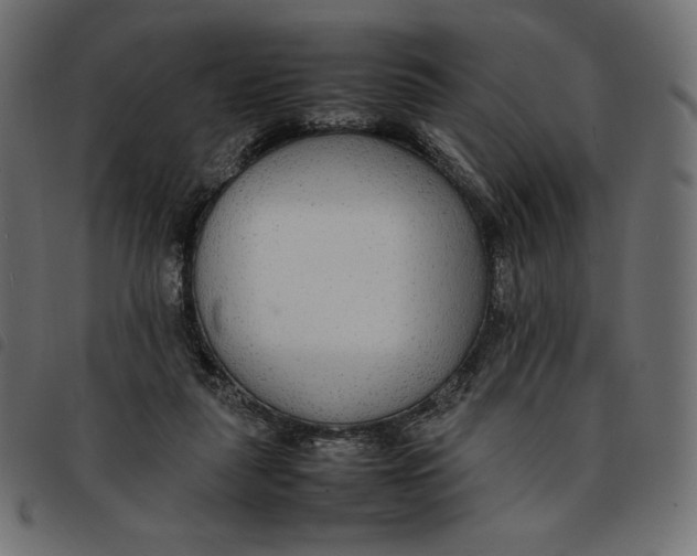 X0000092250259200710121305