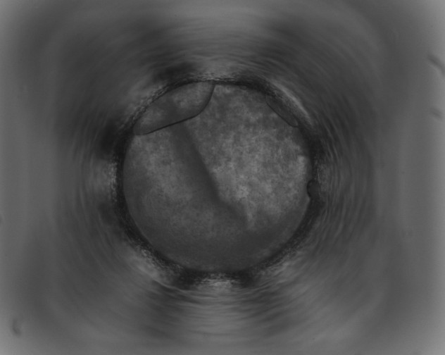 X0000092250260200710121305