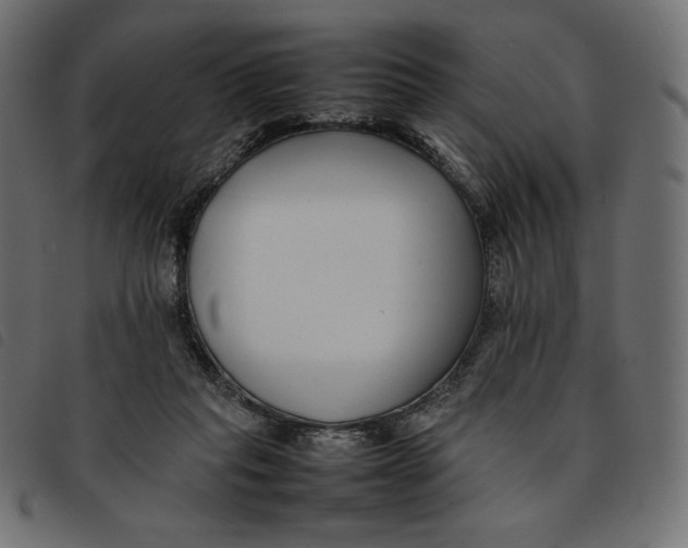 X0000092250261200710121305