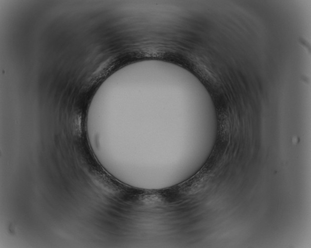 X0000092250262200710121305
