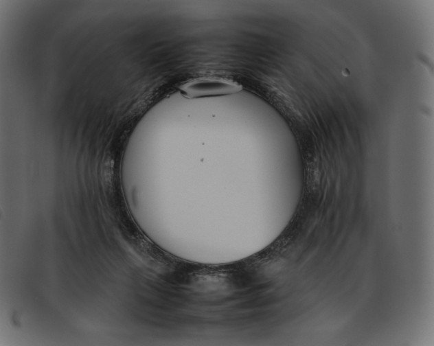 X0000092250263200710121305