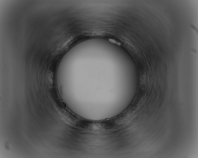 X0000092250264200710121305