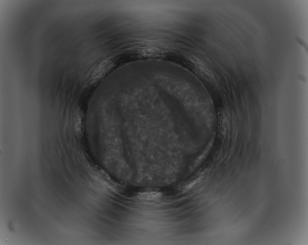 X0000092250266200710121305