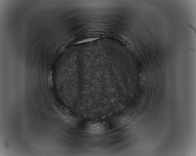 X0000092250267200710121305