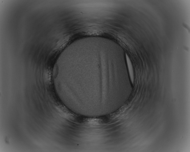 X0000092250268200710121305