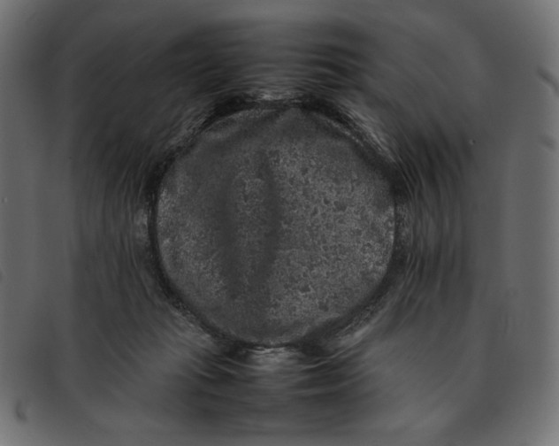 X0000092250269200710121305