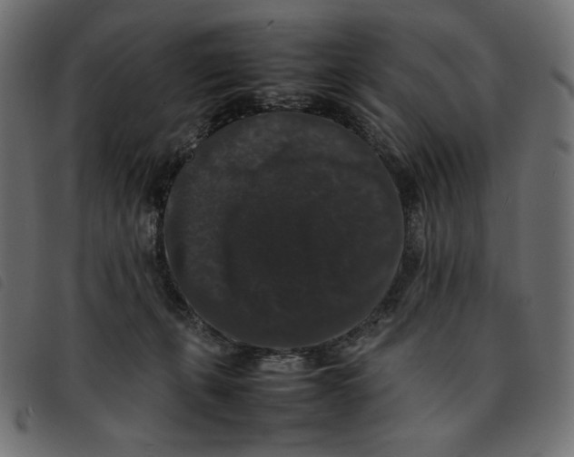X0000092250271200710121305