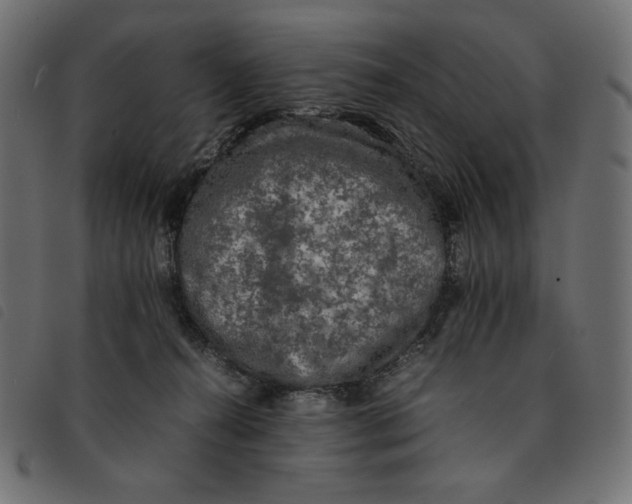 X0000092250272200710121305