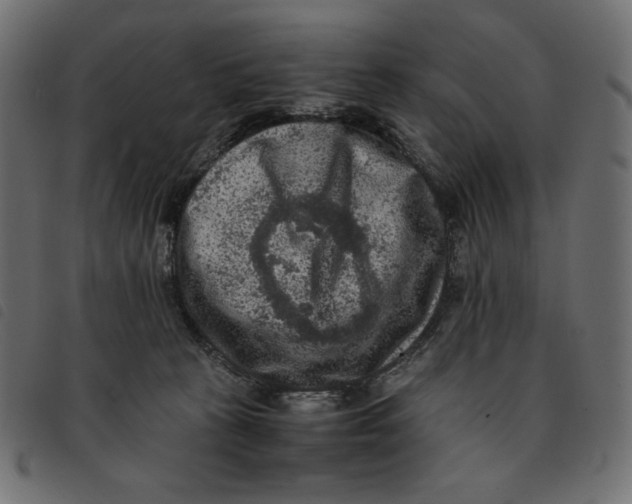 X0000092250273200710121305