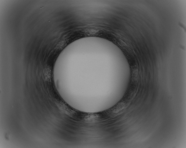 X0000092250274200710121305