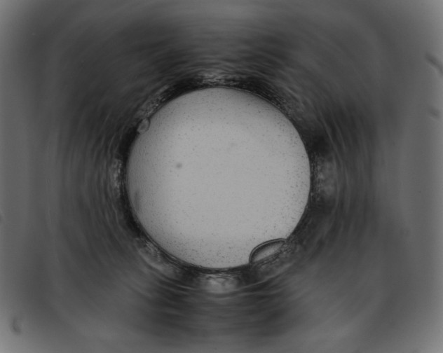 X0000092250275200710121305