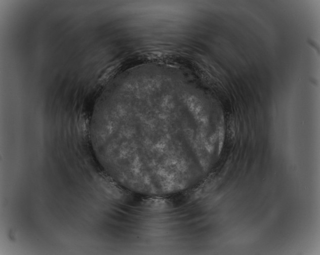 X0000092250276200710121305