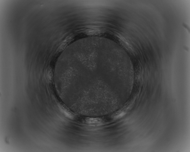 X0000092250277200710121305