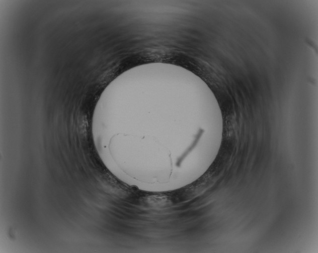 X0000092250279200710121305