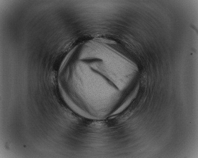 X0000092250280200710121305
