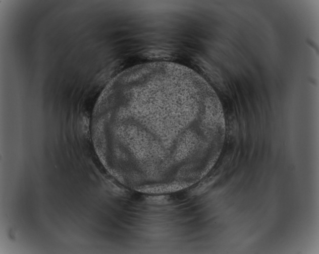 X0000092250281200710121305