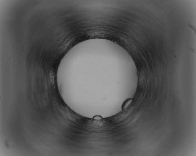 X0000092250282200710121305