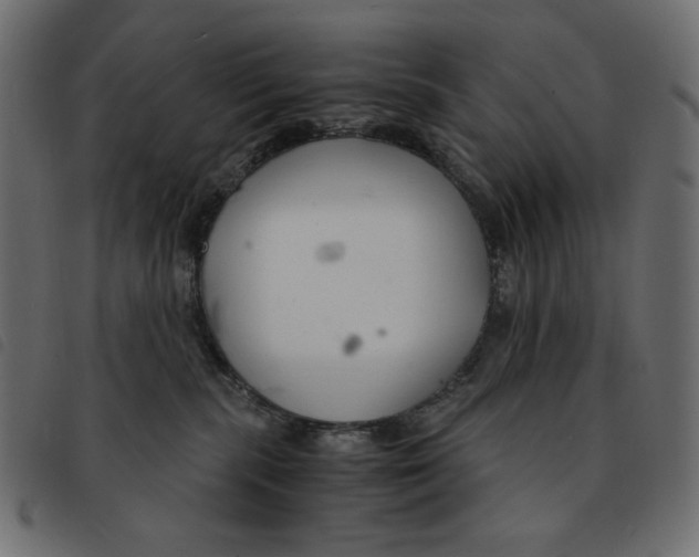 X0000092250283200710121305