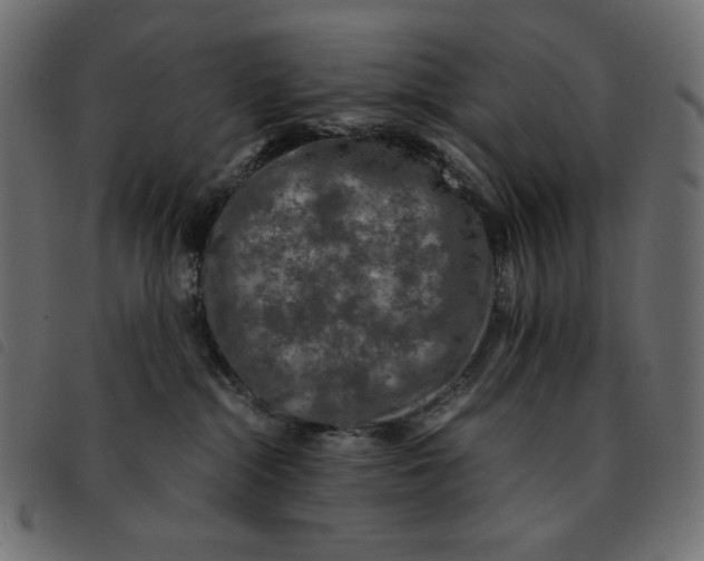 X0000092250284200710121305