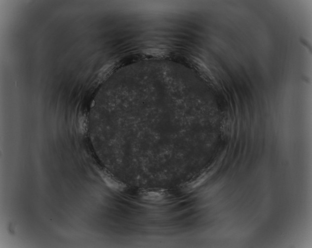 X0000092250285200710121305