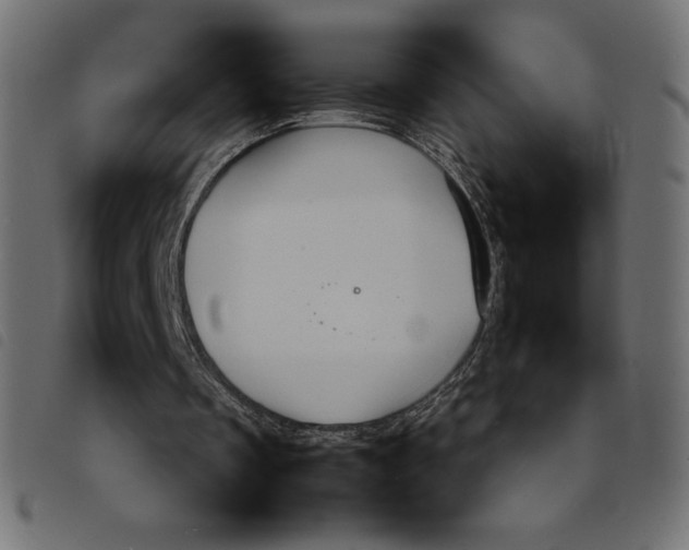 X0000092250289200710121305