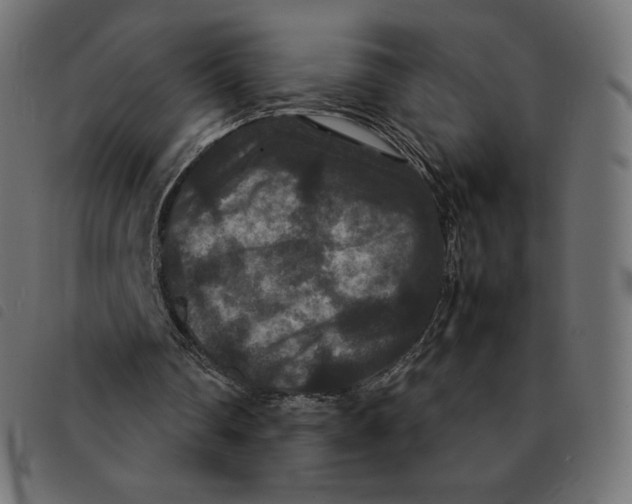 X0000092250290200710121305