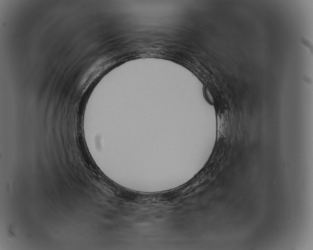 X0000092250291200710121305