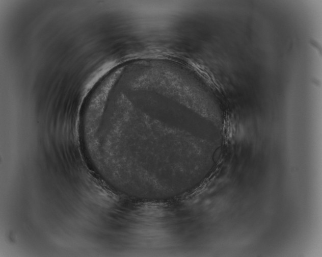 X0000092250292200710121305