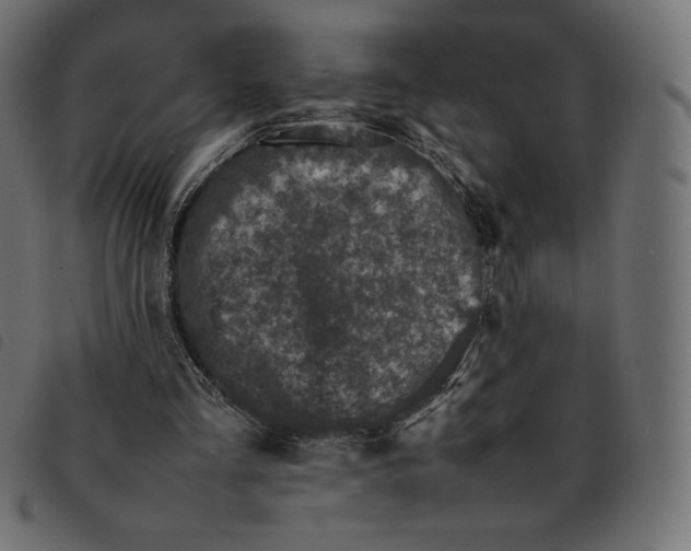 X0000092250293200710121305