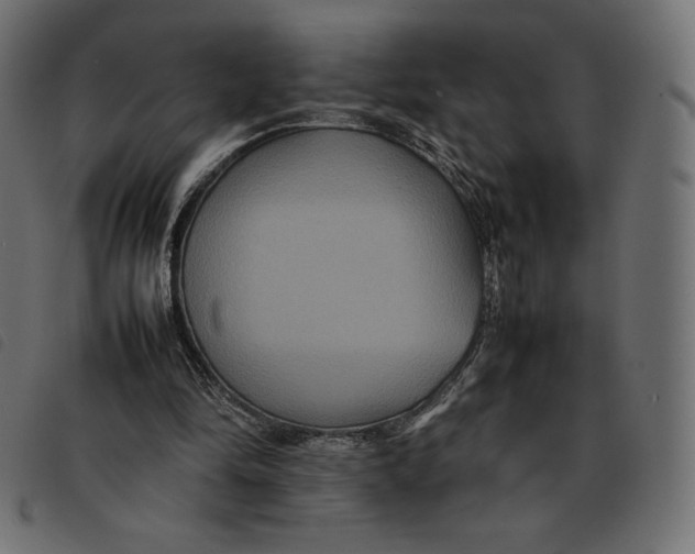 X0000092250294200710121305