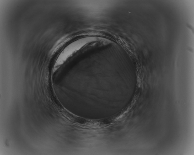 X0000092250295200710121305