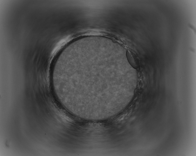 X0000092250296200710121305