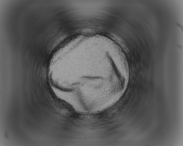 X0000092250297200710121305