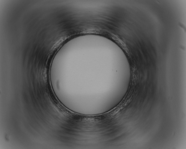 X0000092250298200710121305