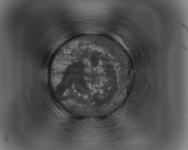 X0000092250299200710121305