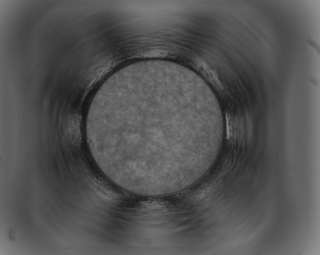 X0000092250300200710121305