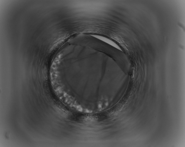 X0000092250303200710121305