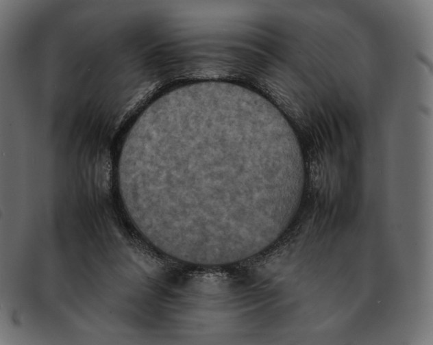 X0000092250304200710121305