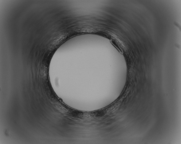 X0000092250305200710121305