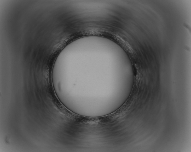 X0000092250306200710121305