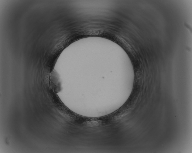 X0000092250307200710121305