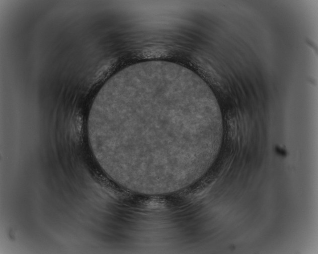 X0000092250308200710121305