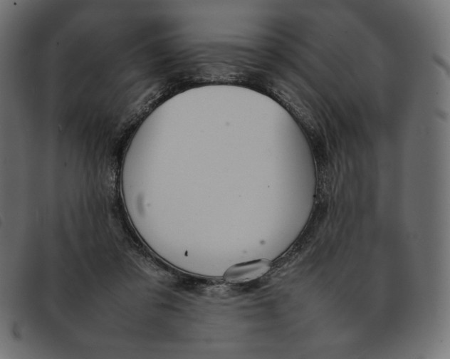 X0000092250309200710121304