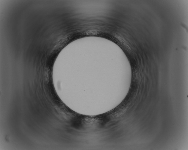 X0000092250311200710121304