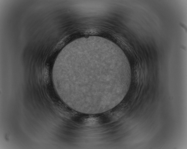 X0000092250312200710121304