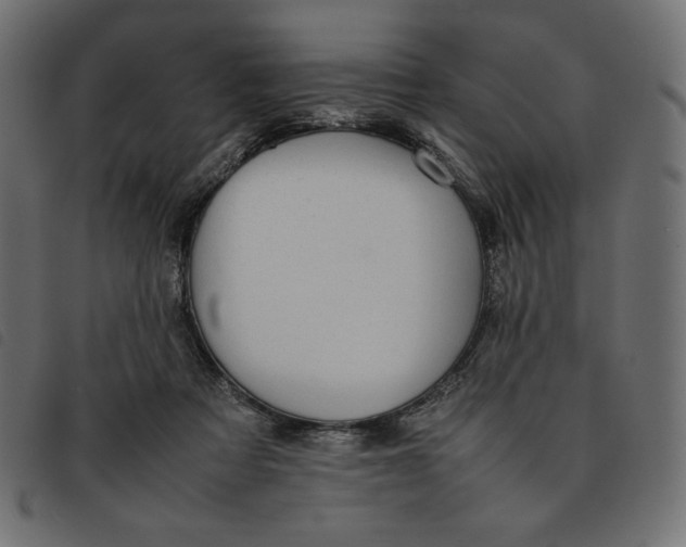X0000092250313200710121304