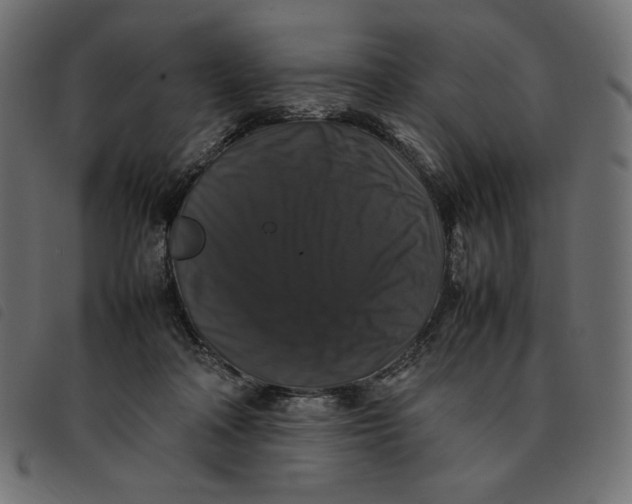 X0000092250314200710121304