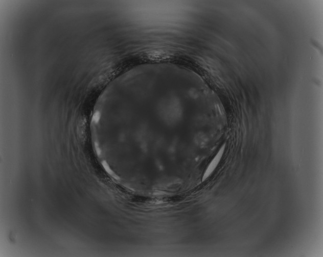 X0000092250319200710121304