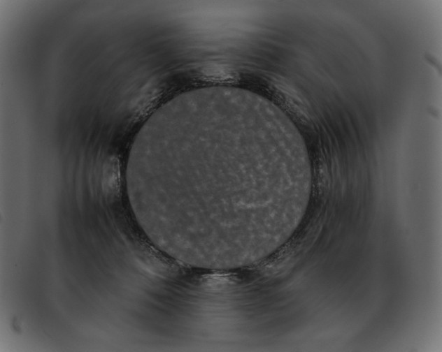 X0000092250320200710121304